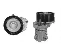 TENDEUR COURROIE ACC- 030145299C